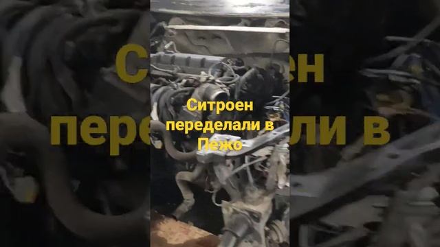 Авторазбор Ситроен и Пежо, есть все ! смотреть онлайн