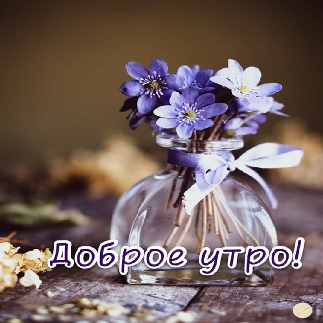Доброе Утро! Желаю тебе доброго утра и хорошего настроения на целый день!