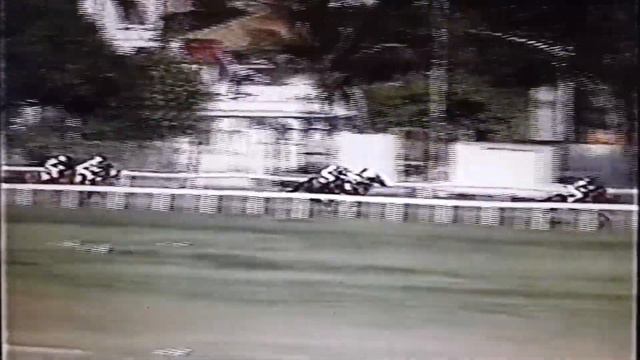 Rosie Reese wins at the Queen's Park Savannah смотреть онлайн