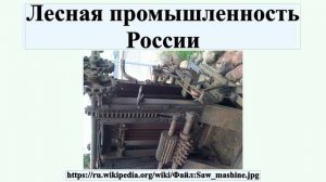 Лесная промышленность России