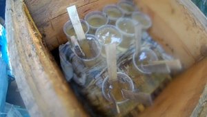 Как закормить пчел в зиму. Подготовка пчел к зимовки часть 1