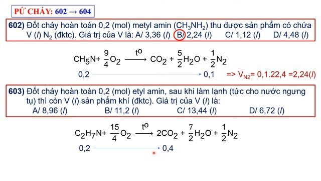 HÓA 12 - TUẦN 9: AMIN + TỔNG QUAN POLIME - TRUNG TÂM THĂNG LONG смотреть онлайн