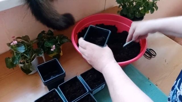 как моё хобби стало приносить доход