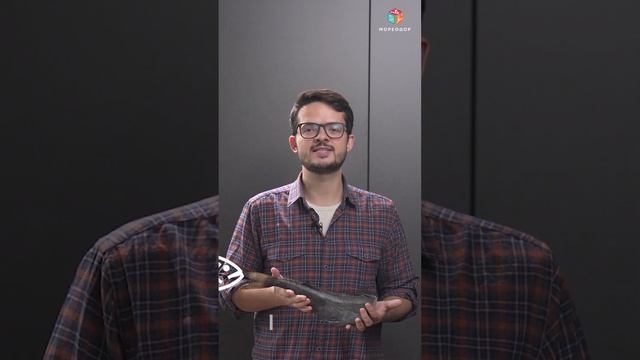 Угольная рыба или черная треска - долгожитель среди рыб смотреть онлайн