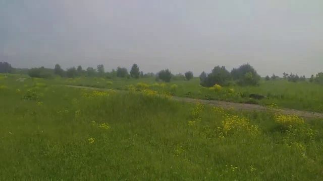 караоке дома в моем исполнении.Круги на воде-Нуки#караоке#песни#кругинаводе