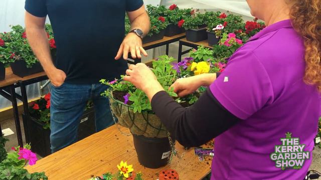 Make your own beautiful Hanging Basket | The Kerry Garden Show смотреть онлайн