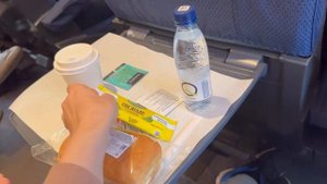 Питание в Сапсане