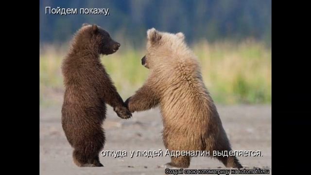 С пятницей!!!