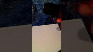 Обзор шуруповерта Вихрь