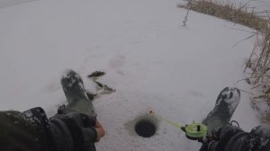 Корыто ротана на простую снасть.