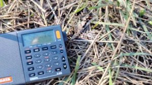 Tecsun  PL 660 &  XHDATA D 808. Сравнение приёма на КВ. 30 метров. USB.