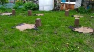 строю дом на болоте.