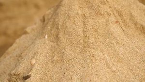 Мини-исследование "Откуда берётся песок?"