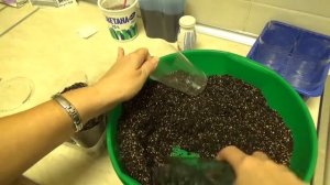 Пекинская капуста. Сеем на рассаду