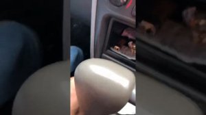 Как подключить светодиодную ленту на кнопку в салоне