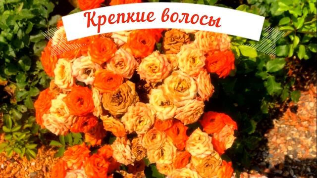 Лунный календарь стрижки АВГУСТ 2021. Благоприятные дни и неблагоприятные дни для стрижки волос