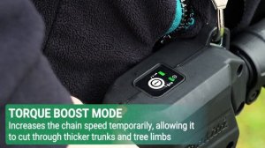 Makita UK DUA301 - 18V x 2  Brushless Telescopic Pole Saw LXT