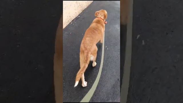 Привет от бывшего "старичка" теперь он апельсин)))и все у него хорошо смотреть онлайн