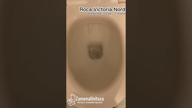 Унитаз с установкой Под Ключ - Roca Victoria Nord Горизонтальный Выпуск с бесплатной доставкой