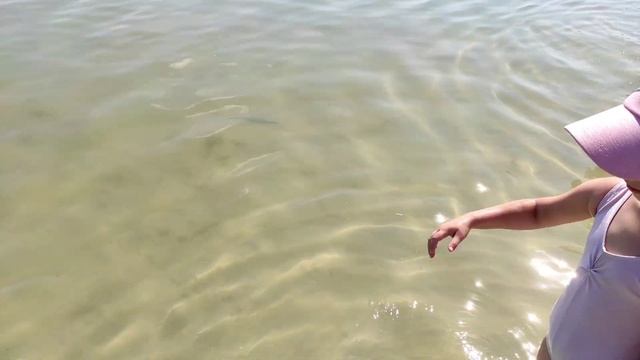 Выходной задом наперед смотреть онлайн