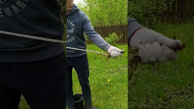 Мужской тест-драйв! После проливных дождей в Подмосковье проведено испытание насадки от сорняков. смотреть онлайн