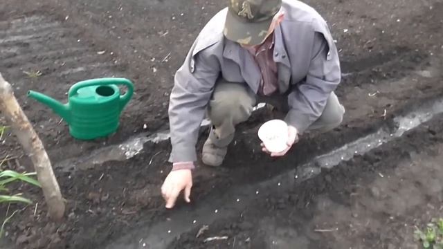 Как сеять горох. Горох на даче смотреть онлайн