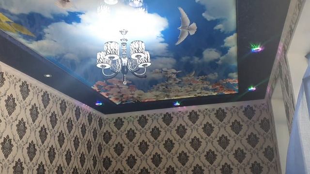 Паталог осмон булди 99)148,49,31 смотреть онлайн