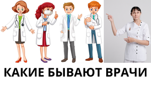 Какие бывают врачи Узкие специалисты Доктор Лисенкова