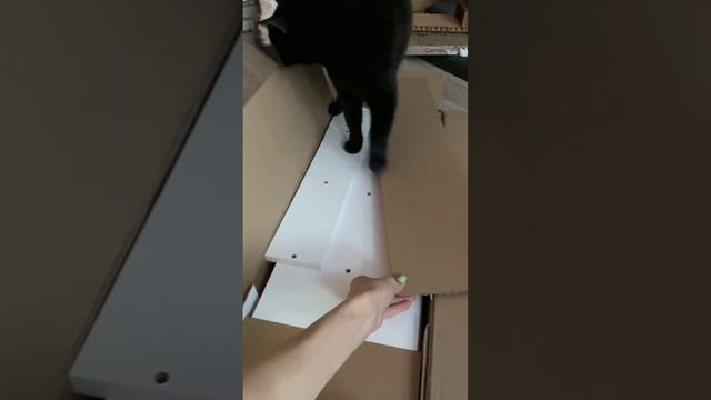 Птичку жалко смотреть онлайн