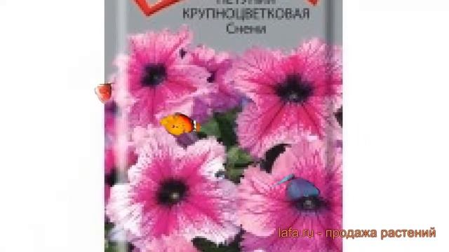 Петуния крупноцветковая Снени F1 (sneni f1) ? Снени F1 обзор: как сажать, семена петунии Снени F1 смотреть онлайн