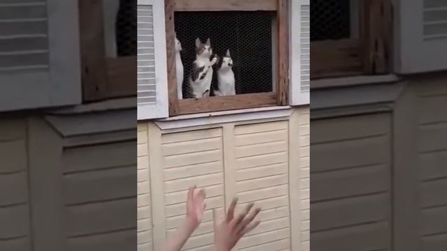 Самые главные болельщики.