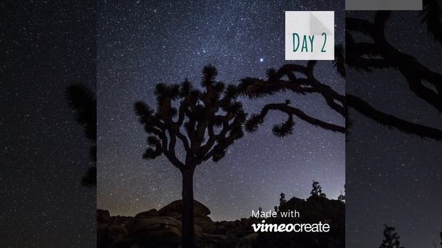 Дешевые Авиабилеты - поиск авиабилетов смотреть онлайн