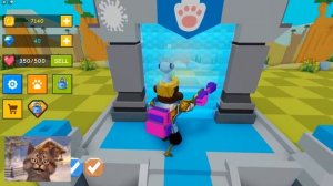 Noob VS Roblox Pet Coloring Simulator