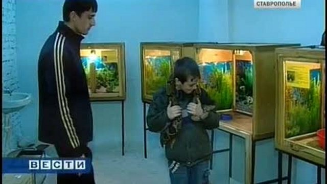 В Ставрополе открылась выставка экзотических животных