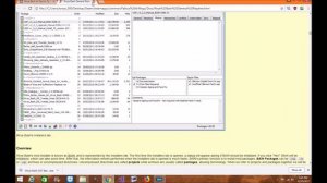 Skyrim SE: Wrye Bash Mod Organizer 2 Installation Tutorial