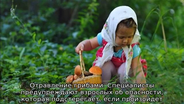 С какого возраста можно давать ребенку грибы смотреть онлайн