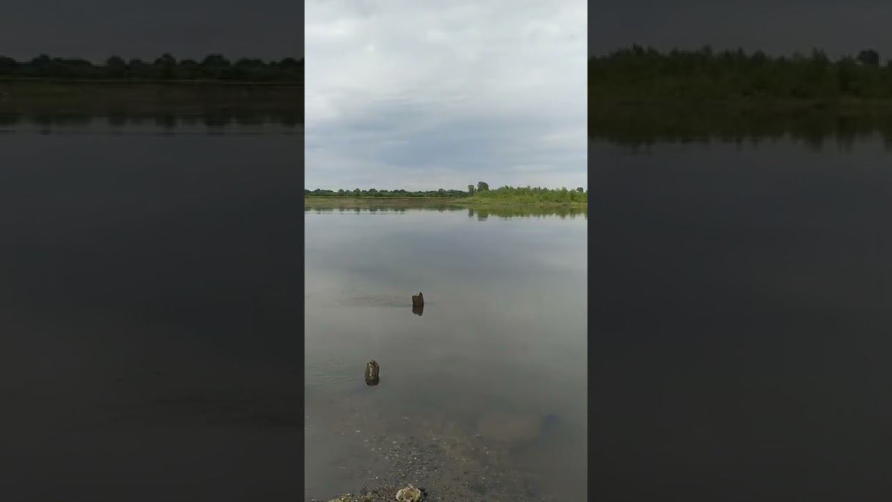Река Белая Башкортостан #башкортостан #спиннинг #природа #рекабелая