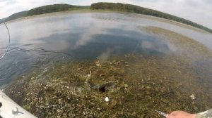 Иркутское водохранилище Курминский залив Рыбалка на щуку