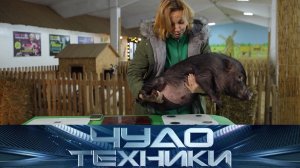 Мясорубки электрические vs механические, цифровой этикет и фен-сушилка от микробов | «Чудо техники»