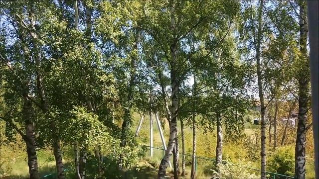 Дом Березовый рай, Филино, Калининградская область, Балтийское море Жить у моря Переезд в Калинин смотреть онлайн