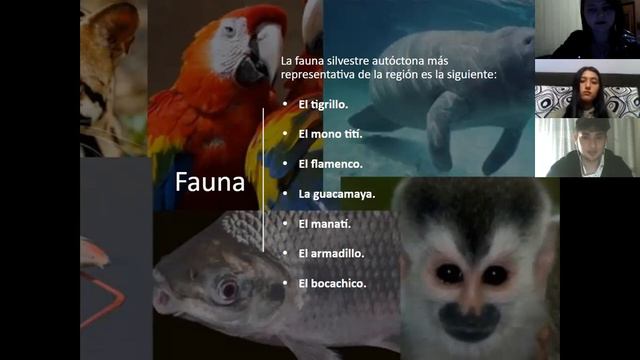 Región Caribe por Eduardo Barrios, Tatiana López y Samantha Pedroza смотреть онлайн