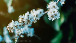 Выгнав невесту со свадьбы за измену, жених женился на её подруге. А когда, через год, он узнал...