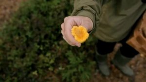 Marttiini Mushroom Knife