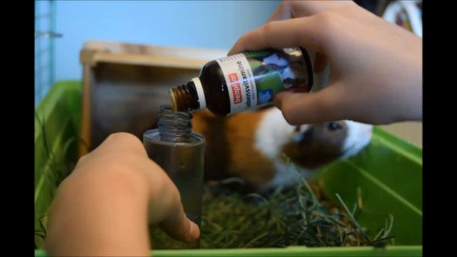 #beaphar_contest смотреть онлайн