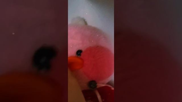 доброе утро, так как Микки проснулась я решила выложить видео смотреть онлайн