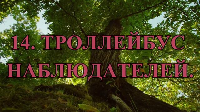 14. ТРОЛЛЕЙБУС НАБЛЮДАТЕЛЕЙ. Вадим Зеланд.