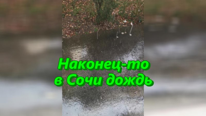 Наконец-то в Сочи дождь