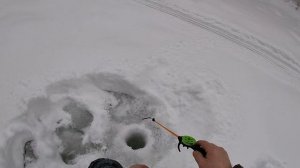 РЫБАЛКА НА ХАРИУСА  4 ДНЯ НА ТАЁЖНОЙ РЕЧКЕ  Часть 1