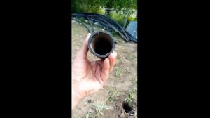Строим теплицу(парник) из пластиковых труб и поликарбоната.