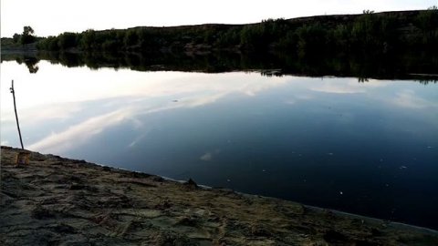 Вечерняя рыбалка на фидер. Алтайский край река Чумыш.